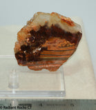 Carey Plume Agate  Lapidary  slab good plume 0.8 oz (25 grams)
