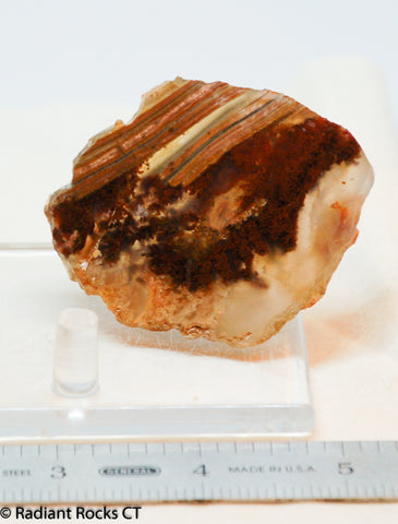 Carey Plume Agate  Lapidary  slab good plume 0.8 oz (25 grams)