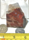 Carey Plume Agate faced rough 2.4 oz (75 grams) - radiantrocksct
