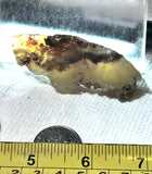 Carey Plume Agate heel slab 1.2 oz (35 grams) - radiantrocksct