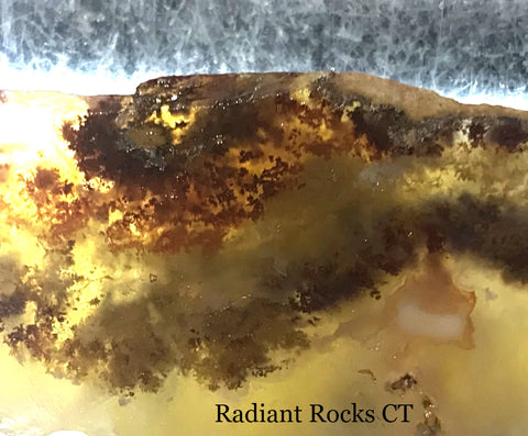 Carey Plume Agate heel slab 1.2 oz (35 grams) - radiantrocksct