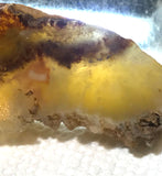 Carey Plume Agate heel slab 1.2 oz (35 grams) - radiantrocksct