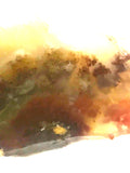 Carey Plume Agate heel slab 1.2 oz (35 grams) - radiantrocksct