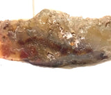 Carey Plume Agate heel slab 1.2 oz (35 grams) - radiantrocksct