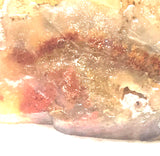 Carey Plume Agate heel slab 1.2 oz (35 grams) - radiantrocksct