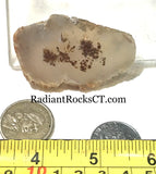 Carey Plume Agate heel slab 1.4 oz (40 grams) - radiantrocksct