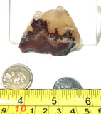 Carey Plume Agate rough 1.4 oz (40 grams) - radiantrocksct