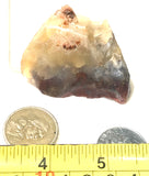Carey Plume Agate rough 1.4 oz (40 grams) - radiantrocksct