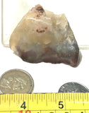 Carey Plume Agate rough 1.4 oz (40 grams) - radiantrocksct