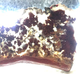 Carey Plume Agate Lapidary  slab 0.6 oz (15 grams) - radiantrocksct