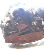 Carey Plume Agate Lapidary  slab 0.6 oz (15 grams) - radiantrocksct