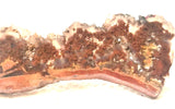 Carey Plume Agate Lapidary  slab 0.6 oz (15 grams) - radiantrocksct