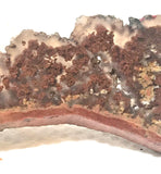 Carey Plume Agate Lapidary  slab 0.6 oz (15 grams) - radiantrocksct