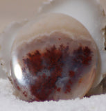 Carey Plume Agate Oval Cabochon 64 carats - radiantrocksct