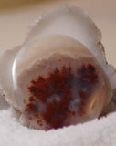 Carey Plume Agate Oval Cabochon 64 carats - radiantrocksct