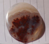 Carey Plume Agate Oval Cabochon 64 carats - radiantrocksct