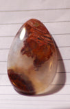Carey Plume Agate Teardrop Cabochon 42.5 carats - radiantrocksct