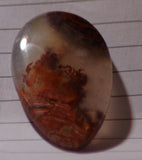 Carey Plume Agate Teardrop Cabochon 42.5 carats - radiantrocksct