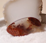 Carey Plume Agate Teardrop Cabochon 42.5 carats - radiantrocksct