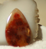 Carey Plume Agate Teardrop Cabochon 34.5 carats - radiantrocksct