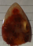 Carey Plume Agate Teardrop Cabochon 34.5 carats - radiantrocksct