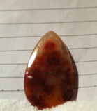 Carey Plume Agate Teardrop Cabochon 34.5 carats - radiantrocksct