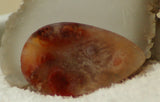 Carey Plume Agate Teardrop Cabochon 34.5 carats - radiantrocksct