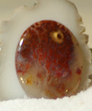 Carey Plume Agate Oval Cabochon 46.5 carats - radiantrocksct