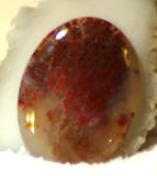 Carey Plume Agate Oval Cabochon 46.5 carats - radiantrocksct