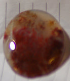 Carey Plume Agate Oval Cabochon 46.5 carats - radiantrocksct