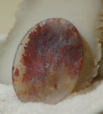 Carey Plume Agate Oval Cabochon 46.5 carats - radiantrocksct