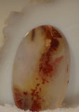 Carey Plume Agate Oval Cabochon 32.5 carats - radiantrocksct