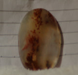 Carey Plume Agate Oval Cabochon 32.5 carats - radiantrocksct