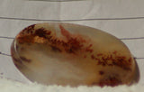 Carey Plume Agate Oval Cabochon 32.5 carats - radiantrocksct