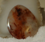 Carey Plume Agate Teardrop Cabochon 45.5 carats - radiantrocksct