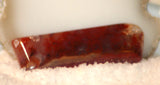 Carey Plume Agate FreeForm Cabochon 23.5 carats - radiantrocksct