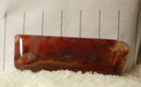 Carey Plume Agate FreeForm Cabochon 23.5 carats - radiantrocksct