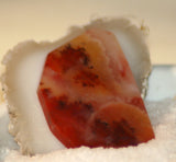 Carey Plume Agate FreeForm Cabochon 62 carats - radiantrocksct