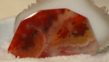 Carey Plume Agate FreeForm Cabochon 62 carats - radiantrocksct