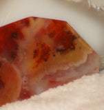 Carey Plume Agate FreeForm Cabochon 62 carats - radiantrocksct