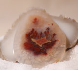 Carey Plume Agate FreeForm Cabochon 77 carats - radiantrocksct