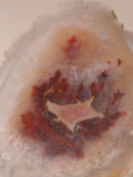 Carey Plume Agate FreeForm Cabochon 77 carats - radiantrocksct