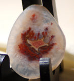 Carey Plume Agate FreeForm Cabochon 77 carats - radiantrocksct