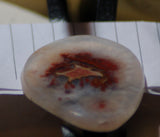Carey Plume Agate FreeForm Cabochon 77 carats - radiantrocksct