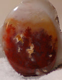 Carey Plume Agate Oval Cabochon 82 carats - radiantrocksct