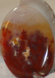 Carey Plume Agate Oval Cabochon 82 carats - radiantrocksct