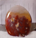 Carey Plume Agate Oval Cabochon 82 carats - radiantrocksct