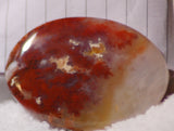 Carey Plume Agate Oval Cabochon 82 carats - radiantrocksct