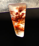 Carey Plume Agate Freeform Cabochon 13.5 carats - radiantrocksct