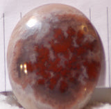 Carey Plume Agate Oval Cabochon 37.5 carats - radiantrocksct
